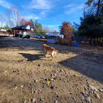 Run Free Dog Park photo 1